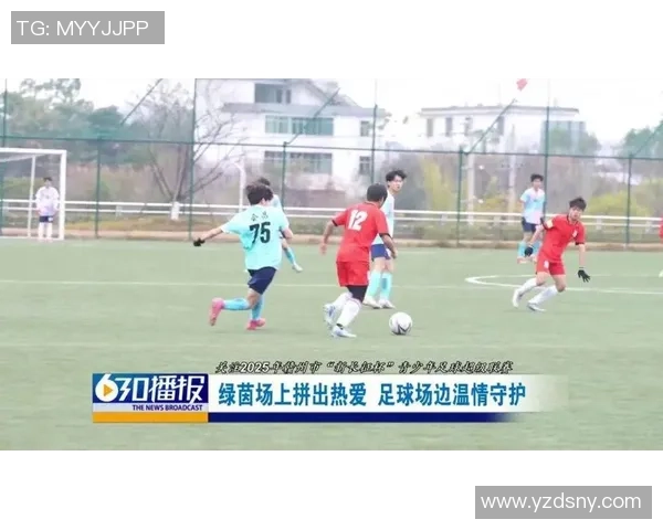玟娥足球：在绿茵场上追逐梦想与激情的青春故事
