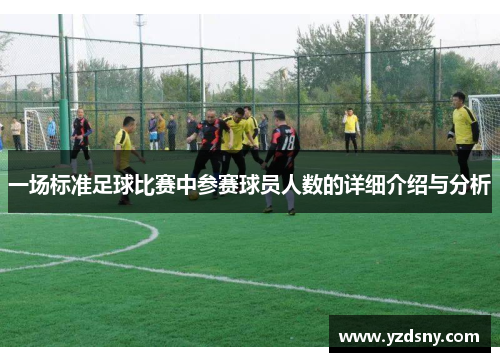 一场标准足球比赛中参赛球员人数的详细介绍与分析