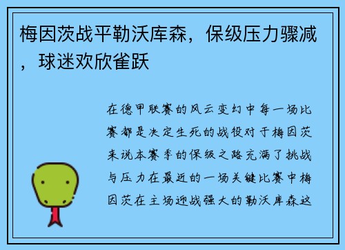 梅因茨战平勒沃库森，保级压力骤减，球迷欢欣雀跃