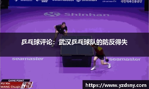 乒乓球评论：武汉乒乓球队的防反得失