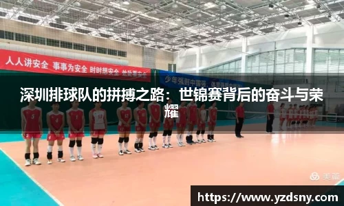 深圳排球队的拼搏之路：世锦赛背后的奋斗与荣耀