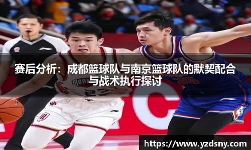 赛后分析：成都篮球队与南京篮球队的默契配合与战术执行探讨