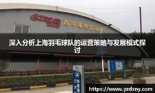 深入分析上海羽毛球队的运营策略与发展模式探讨
